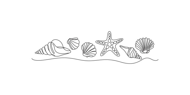 A line drawing of various seashells and a starfish on a white background with a wavy line