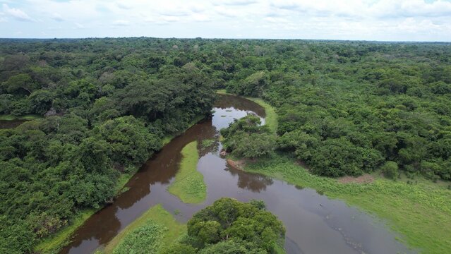 Rios de la amazonia boliviana en Beni, Santa Rosa. Los rios Son el Biata y el Yata