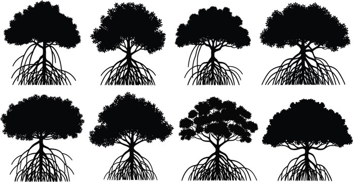 Assorted mangrove tree silhouettes