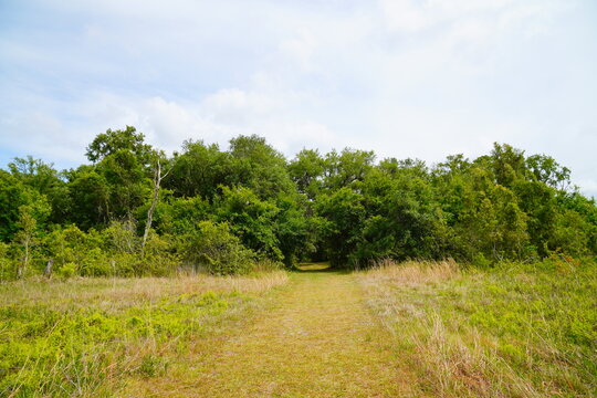 Landscape of Lake Rogers Park in Odessa, Florida, close to Tampa