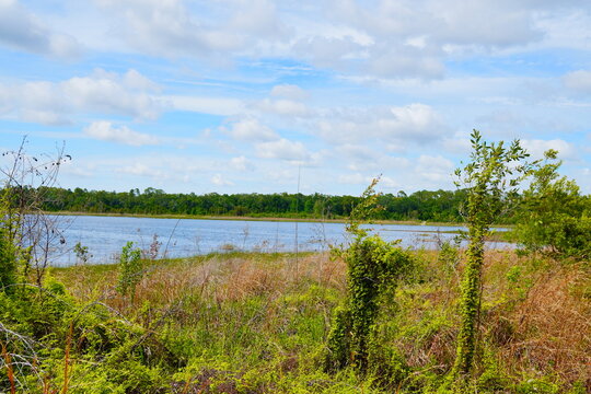 Landscape of Lake Rogers Park in Odessa, Florida, close to Tampa