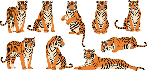 Wild Orange Tiger in Multiple Poses Sitting Standing and Lying Cartoon Illustrated Vector Set on White Background © MstBizly