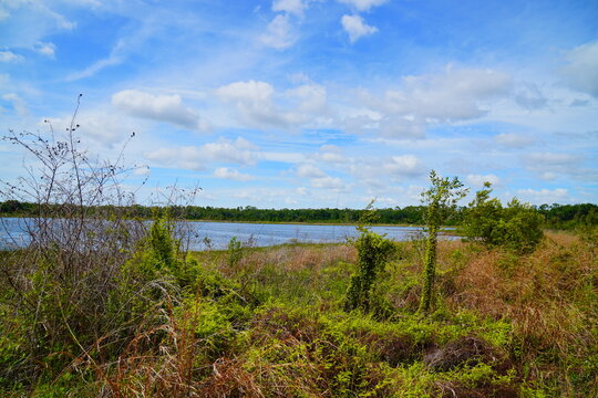 Landscape of Lake Rogers Park in Odessa, Florida, close to Tampa