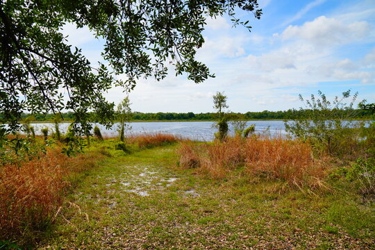 Landscape of Lake Rogers Park in Odessa, Florida, close to Tampa