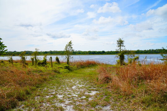 Landscape of Lake Rogers Park in Odessa, Florida, close to Tampa
