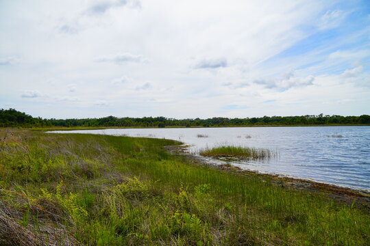 Landscape of Lake Rogers Park in Odessa, Florida, close to Tampa