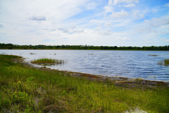 Landscape of Lake Rogers Park in Odessa, Florida, close to Tampa