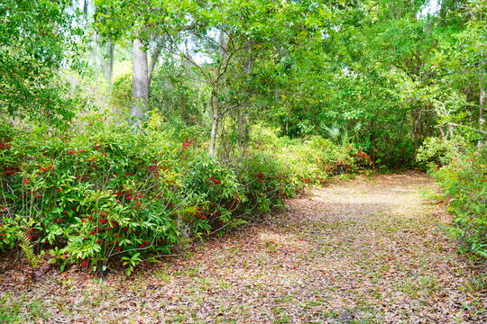 Landscape of Lake Rogers Park in Odessa, Florida, close to Tampa