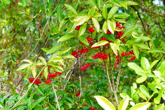 Landscape of Lake Rogers Park in Odessa, Florida, close to Tampa