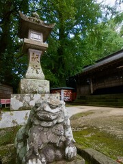 Obraz premium 神社の燈篭と狛犬