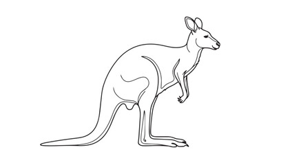 Fototapeta premium Kangaroo vector illustration with bold lines on white background graphic design