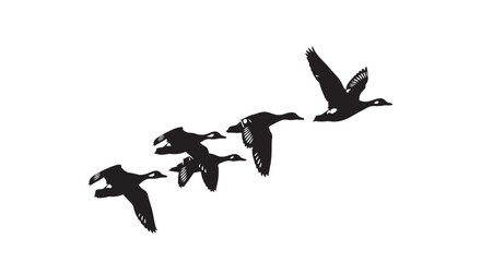 Vector illustration of geese flying in formation on white background © Mofizul