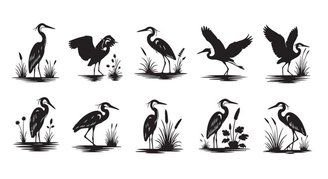 Vector heron silhouettes set with various poses and plants illustration