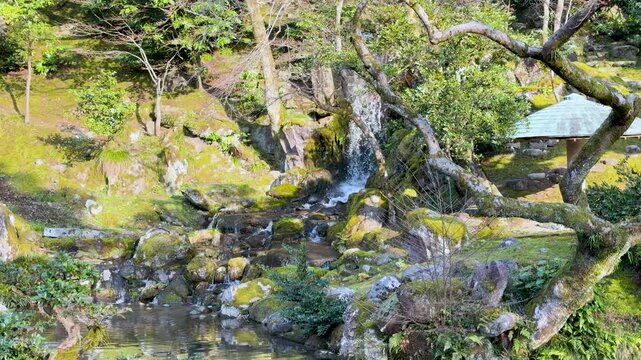 Zen garden landscape featuring cascading waterfall over mossy rocks and peaceful koi pond in Japan.