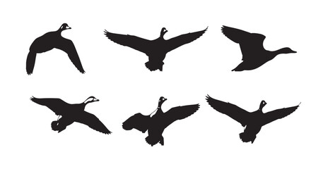Vector illustration of flying goose silhouettes in various positions and poses © Mofizul