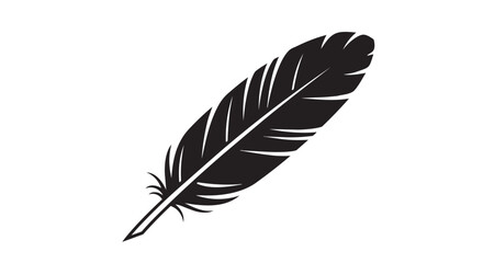 Fototapeta premium Black feather vector illustration design element