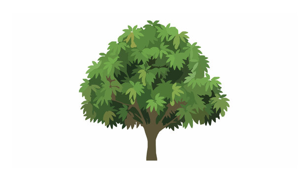 Stylized mango tree icon vector with fruit flat design isolated on white