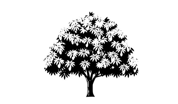 Hand drawn mango tree vector with organic shape and fruit silhouette isolated on white