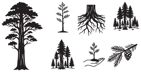 Set of black and white tree silhouettes, including a large redwood, a young sapling, roots, and a pine branch with a cone, illustrating various tree forms and growth stages. © Riki