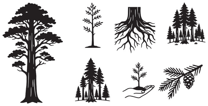 Set of black and white tree silhouettes, including a large redwood, a young sapling, roots, and a pine branch with a cone, illustrating various tree forms and growth stages.