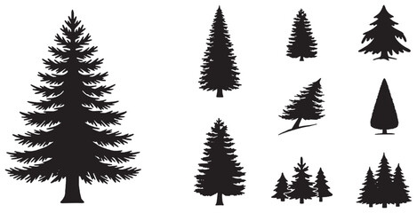 Obraz premium Collection of various black silhouette coniferous trees, including pine and fir, in different shapes and sizes, suitable for design elements.