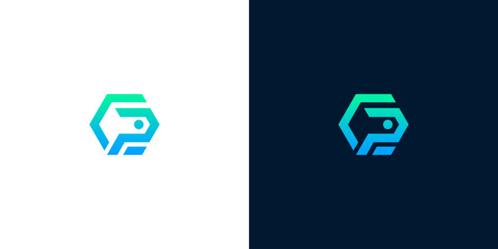 Geometric Hexagon Logo Design with Abstract 'P' Icon, Symbolizing Technology, Innovation, and Digital Connections