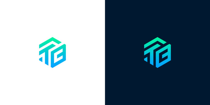 Modern hexagonal logo with the letters TG in gradient blue and green, perfect for tech companies and branding