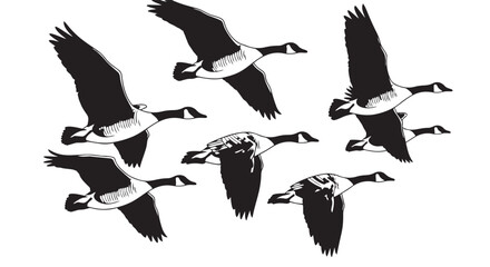 Vector illustration of geese flying in formation black and white design © Akel