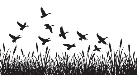 Vector illustration of ducks flying over cattails and grass in silhouette © Akel