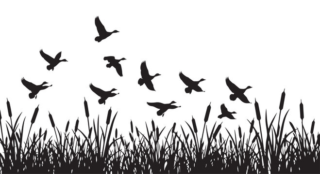 Vector illustration of ducks flying over cattails and grass in silhouette