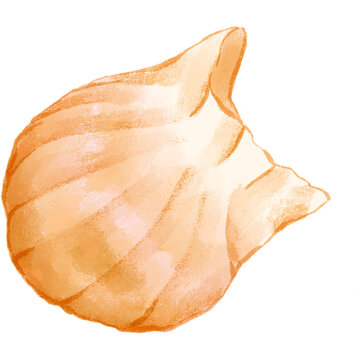 Illustration of a Har gow crystal shrimp dumpling