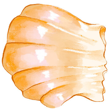 Illustration of a Har gow crystal shrimp dumpling