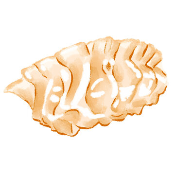 Handdrawn Illustration of a Dumpling