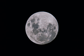 Fototapeta premium Earth's moon at 99 percent full in the early evening night sky