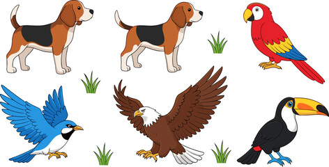 Fototapeta premium Animal Illustration Set Featuring Beagle Dogs, Parrot, Toucan, Eagle, and Blue Bird with Colorful Wildlife Characters for Nature and Kids Design