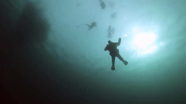 Explorers glide through the Barents Sea, revealing vibrant underwater landscapes of the Arctic. Sun's rays pierce the turquoise depths, illuminating their serene journey in this profound polar realm.