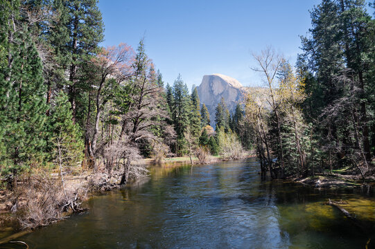 View of Half Dome down the Merced River in Yosemite National Park, California