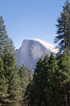 Half Dome in Yosemite National Park viewed through the trees