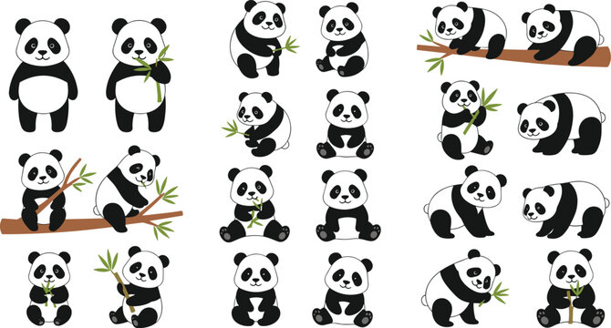 Cute panda cartoon set with bamboo eating bears and kawaii animal characters vector illustration