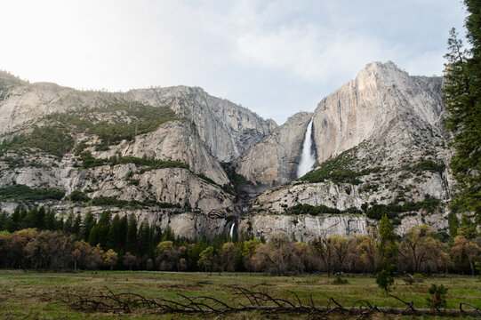 Wide view of upper and lower Yosemite Falls from across a field