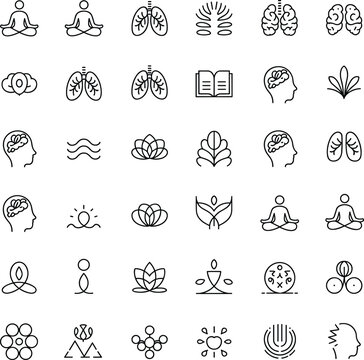 Detailed medical brain diagrams in intricate line art style