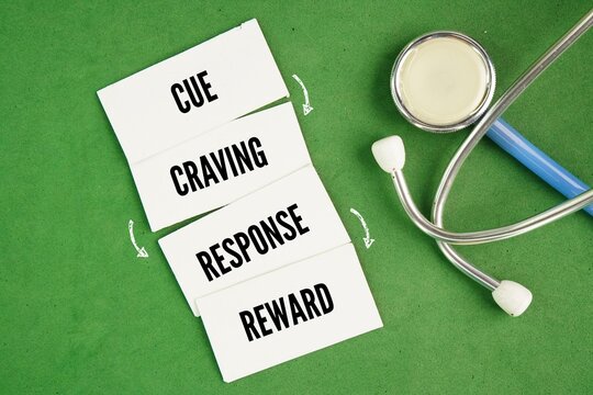 What is the 4 step model of habits? The habit loop consists of four key stages: cue, craving, response, and reward word. These steps apply to personal finances, as well.