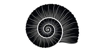 A black and white drawing of a nautilus shell © EmayetHossen