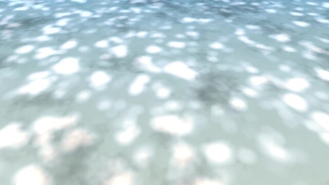木漏れ日 抽象的な光の模様 背景素材 幻想的な光 影 ぼかし / Sunbeams filtered through leaves abstract light pattern background soft focus dappled sunlight