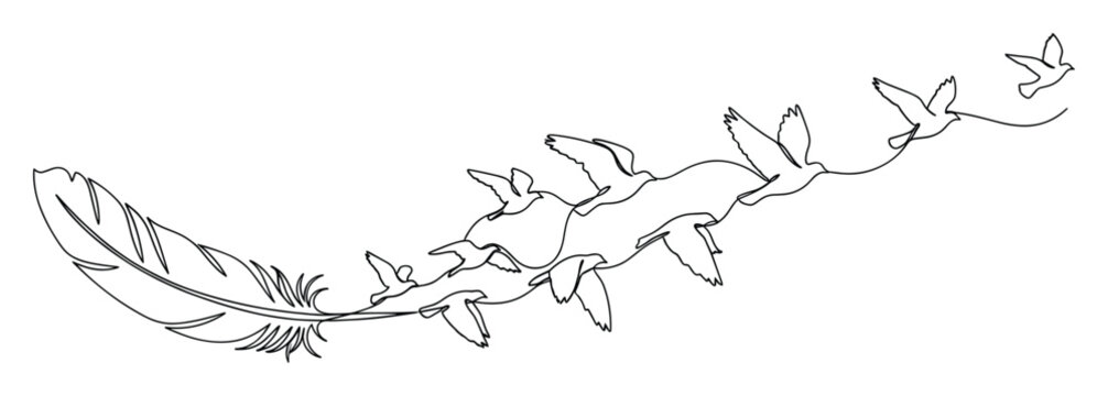 Elegant continuous line drawing of a feather transforming into a flock of doves for inspirational graphic projects