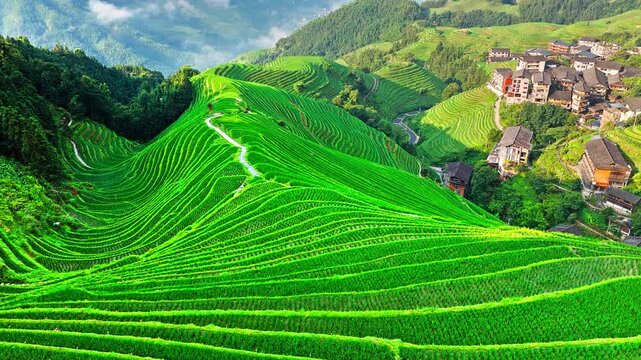 Aerial view of green layered Longji rice terraces and mountain landscape in Guilin, China