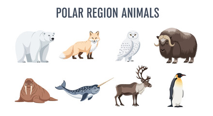 Polar region animals illustration set. © Kenywanch