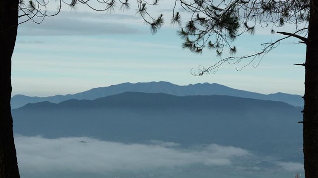 Serene mountain landscape with layers of mist and distant peaks, framed by silhouetted pine trees at dawn.