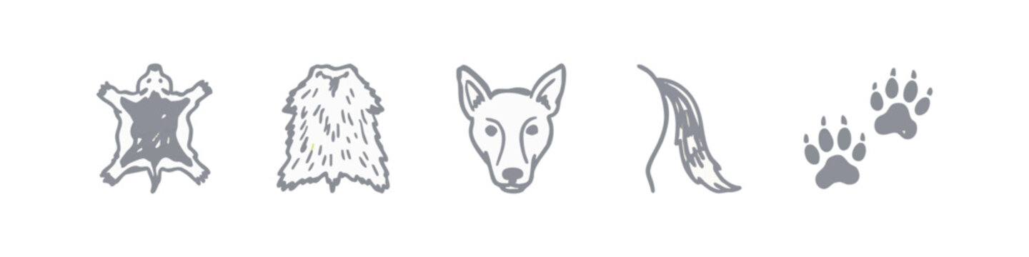 Hand-drawn wildlife icons: pelt, fur, dog face, tail, paw prints
