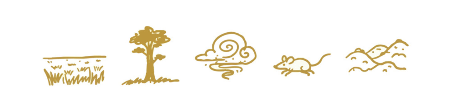 Gold hand-drawn icons depicting nature elements and small creatures